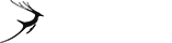 发卡网安全的轰炸网页版